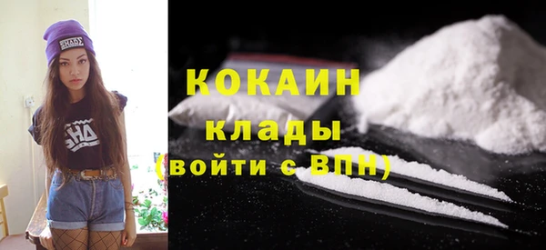 индика Покровск