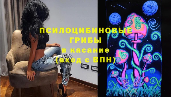 индика Покровск