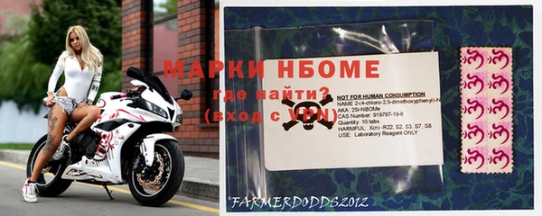 шишки Покров