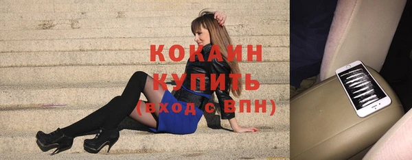 индика Покровск