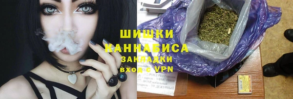 индика Покровск